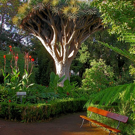 Hijuela del Botánico