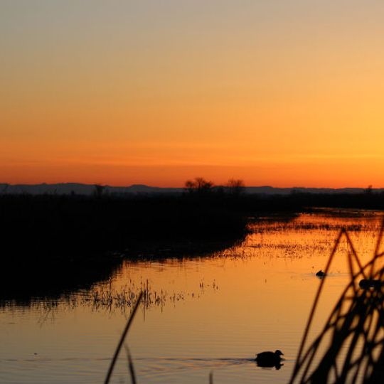 Delevan National Wildlife Refuge