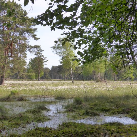 Seemoor und Schwarzes Moor bei Zahrensen