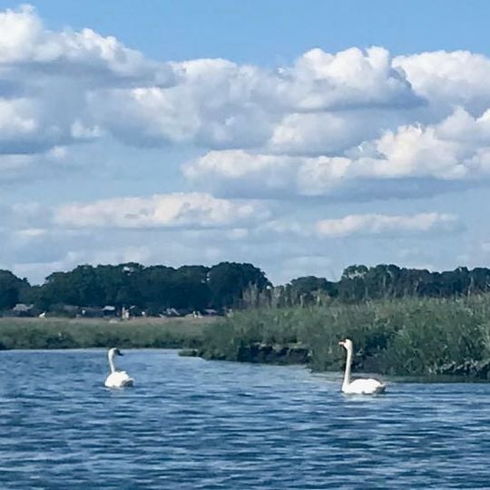 Charles E. Wheeler Wildlife Management Area