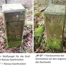 37 neu