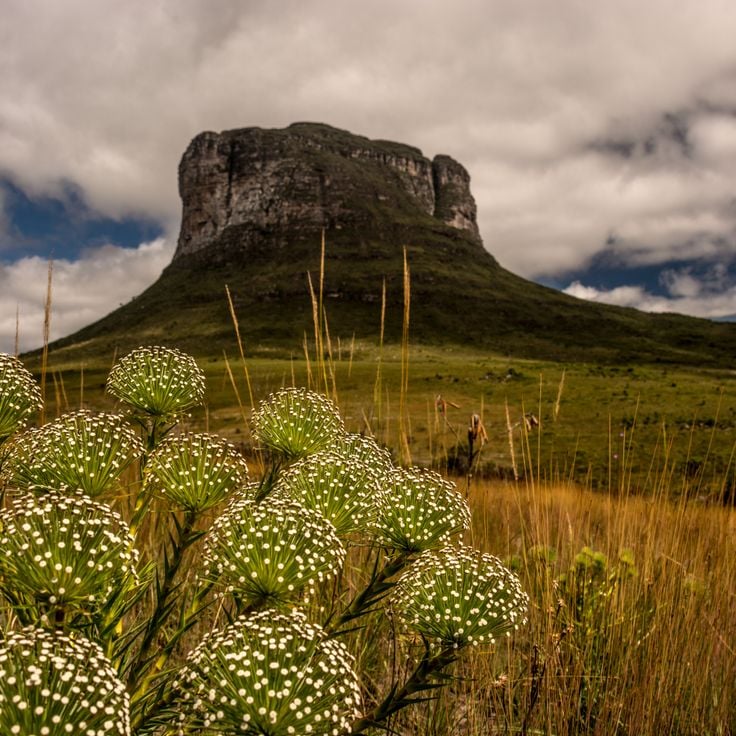 Park Narodowy Chapada Diamantina
