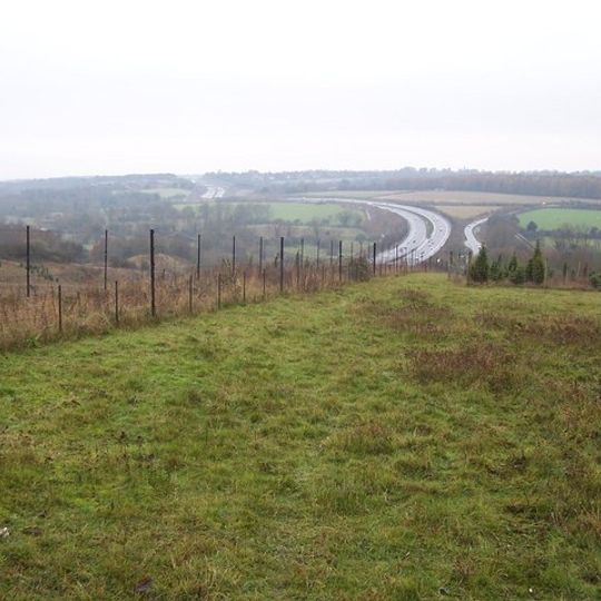 Twyford Down