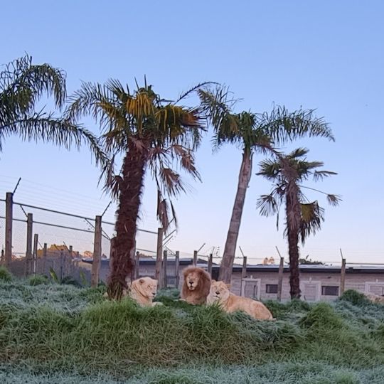 Zion Wildlife Gardens