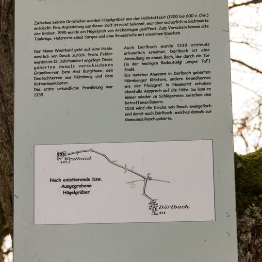 Grabhügelfeld in Burgthann