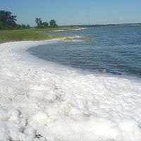 Novichikhinsky District