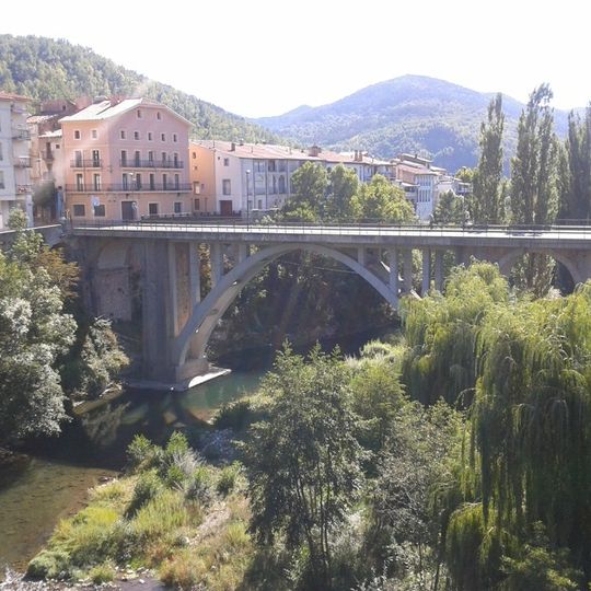 Pont Nou de Sant Joan de les Abadesses