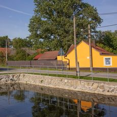 Památný dub rodu Šimků z Věřic