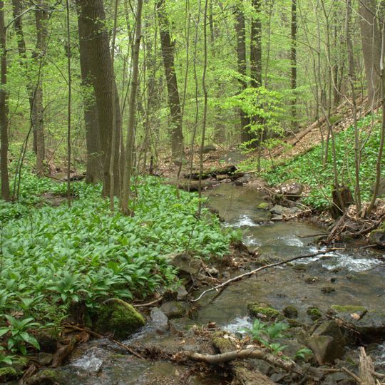 Domaslavické údolí