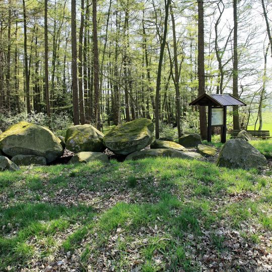 Großsteingrab bei den Düvelskuhlen II