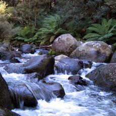 Barrington Tops National Park