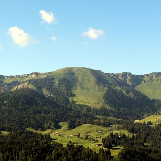 Bullerschkopf
