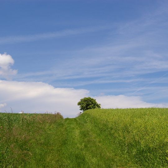 Historic road Hochstraße, Dunkelsteinerwald