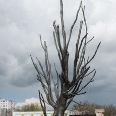 Pawiak Elm monumenent