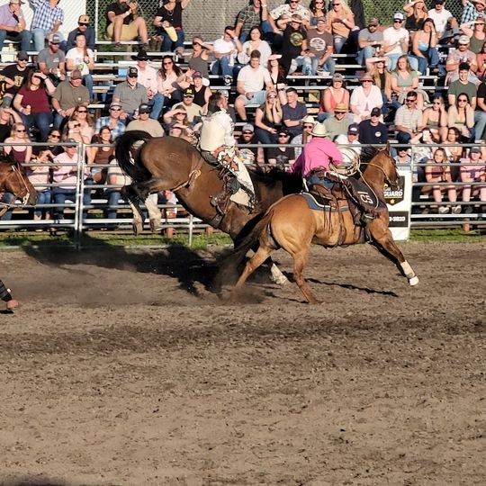 BiMart Arena - Cheney Rodeo