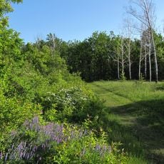 Kryvyi Rih arboretum