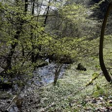 Wending and Peimbach Valley