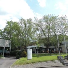 Platanengruppe an der Johannes Kepler Universität