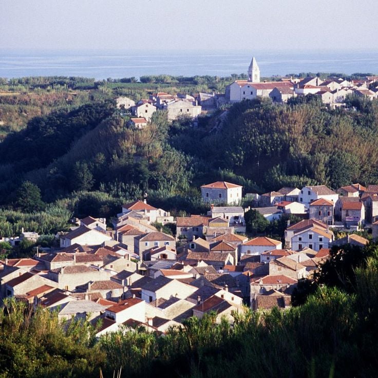 Susak