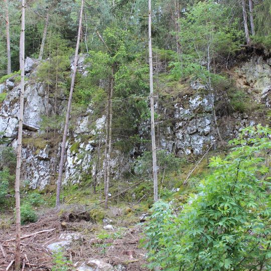 Hofpfahl NE von Fellerhof