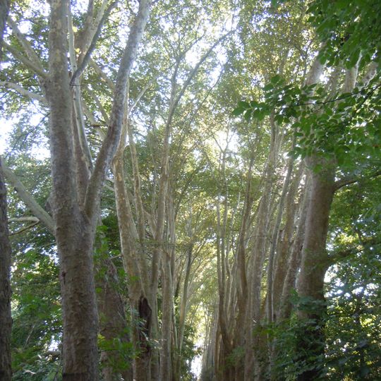 Zone agricole de Carrières-sous-Bois-Les Flageaux