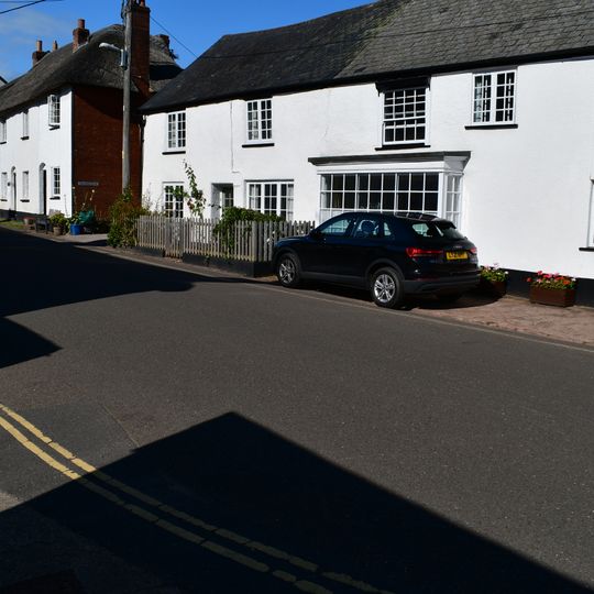 Grasshoppers  The Stores