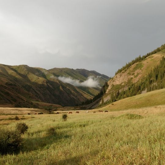 Padyshata State Nature Reserve